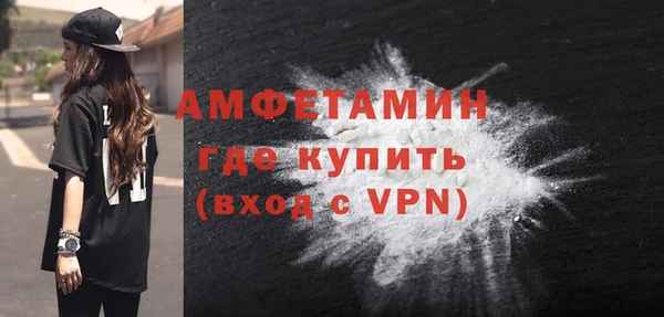 индика Михайлов